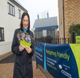 Sawtry housebuilder puts hedgehogs in the fast lane